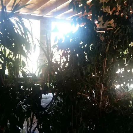 Casa Luci Deltebre